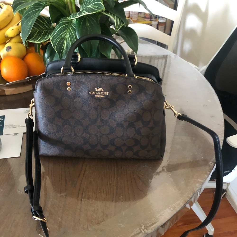 COACH Lillie carryall purse crossbody